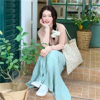 当哈维遇见鲍勃